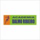 Academia Dalmo