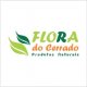 Flora do Cerrado 